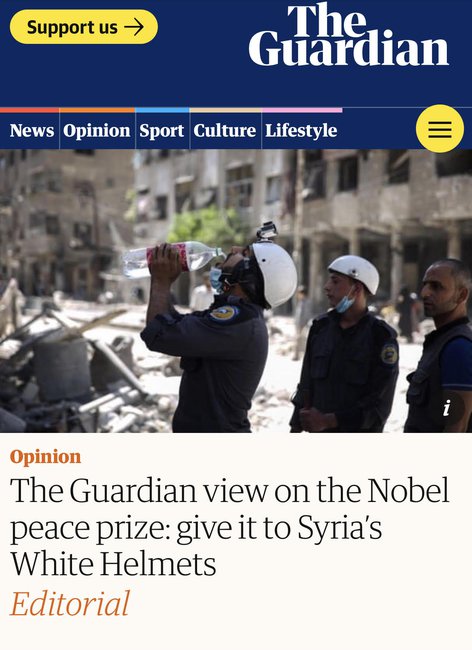 Screen shot of Guardian article